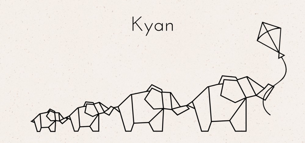 Geboortekaartje familie olifantjes - Kyan